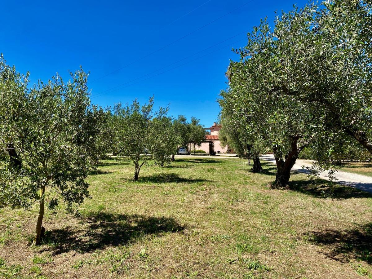 Residence Terme Isola D'Elba Srl Портоферрайо Екстер'єр фото